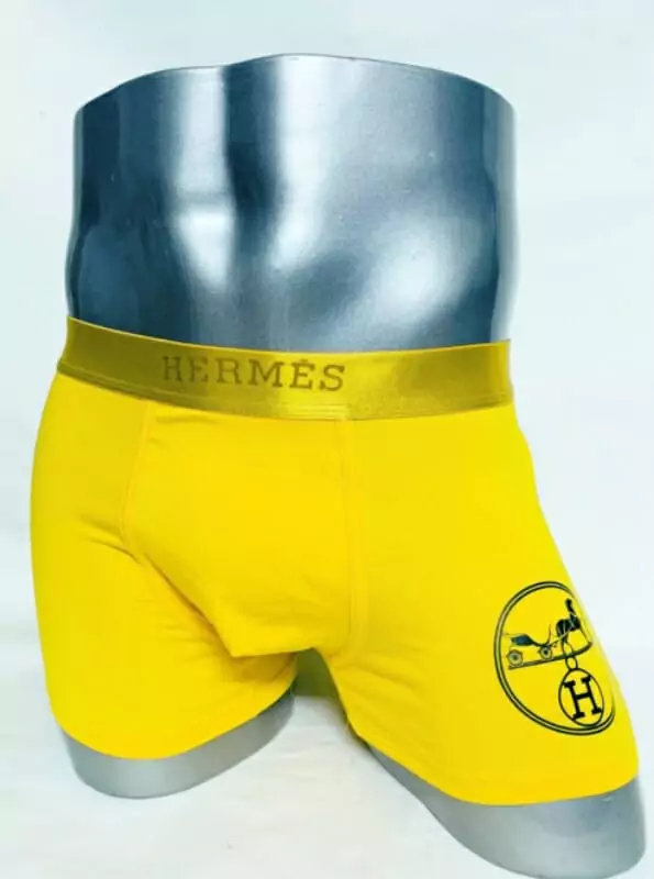 hermes sous vetementss shorts pour homme s_b22271